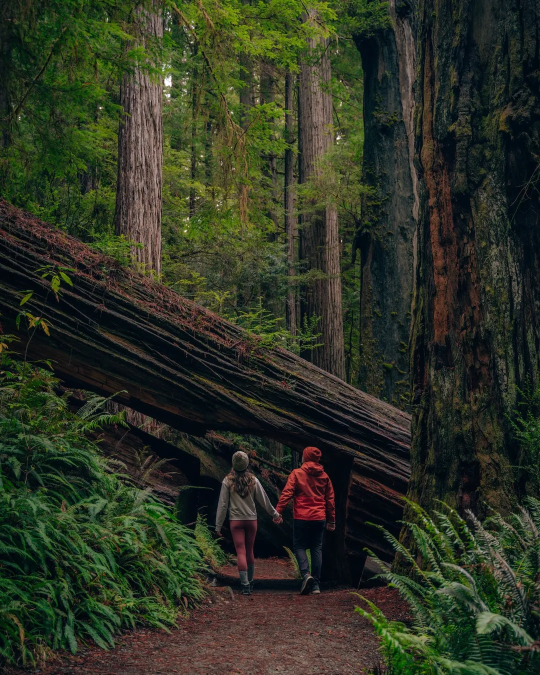 Karl Knapp Trail