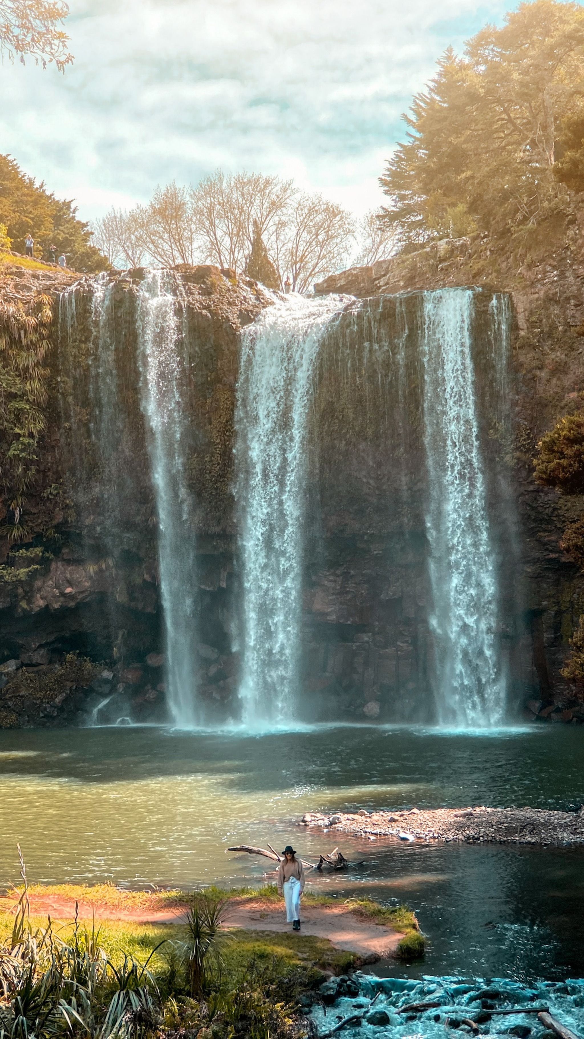 Whangarei Falls