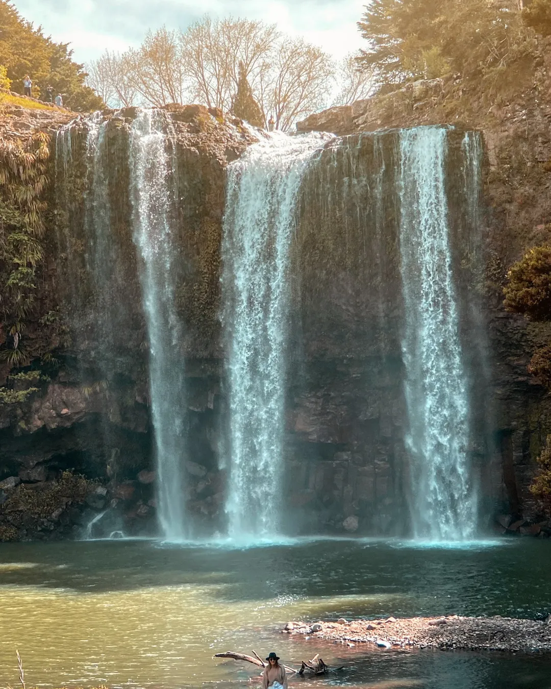 Whangarei Falls