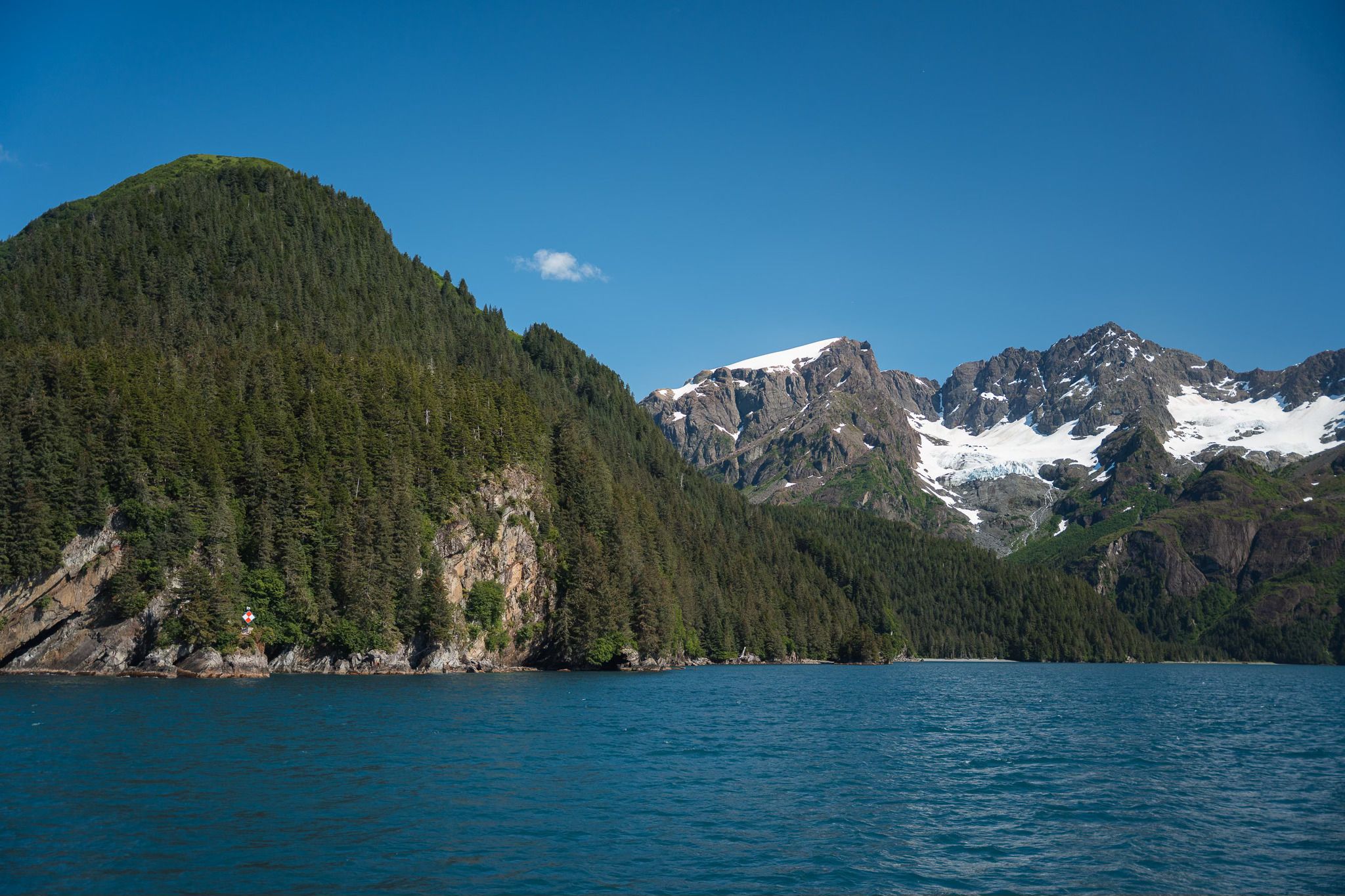 Major Marine Tours