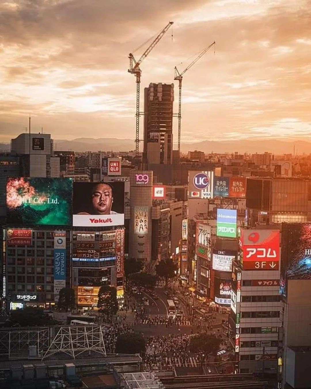Shibuya