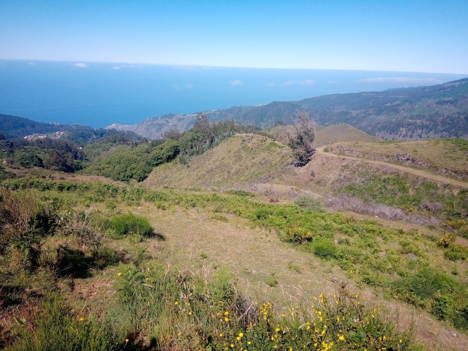 Posto Florestal da Trompica
