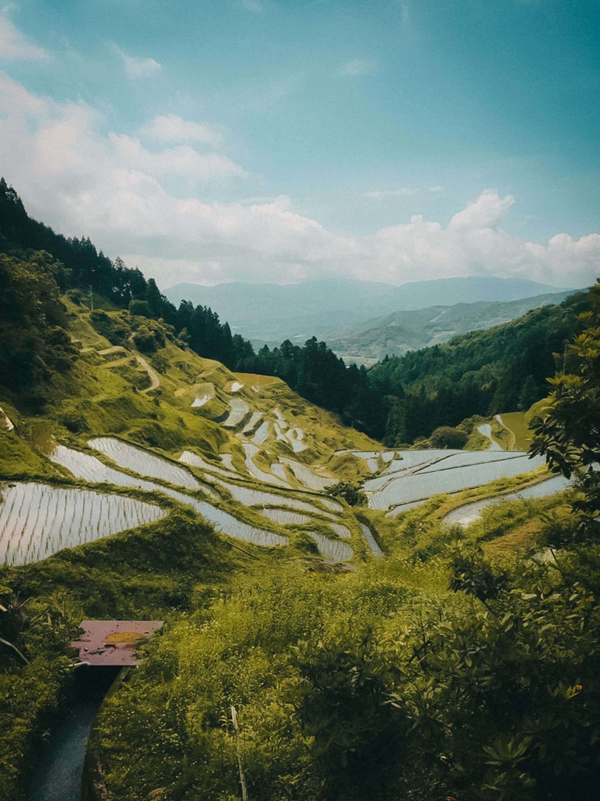 Rice terraces in Izumidani village community.