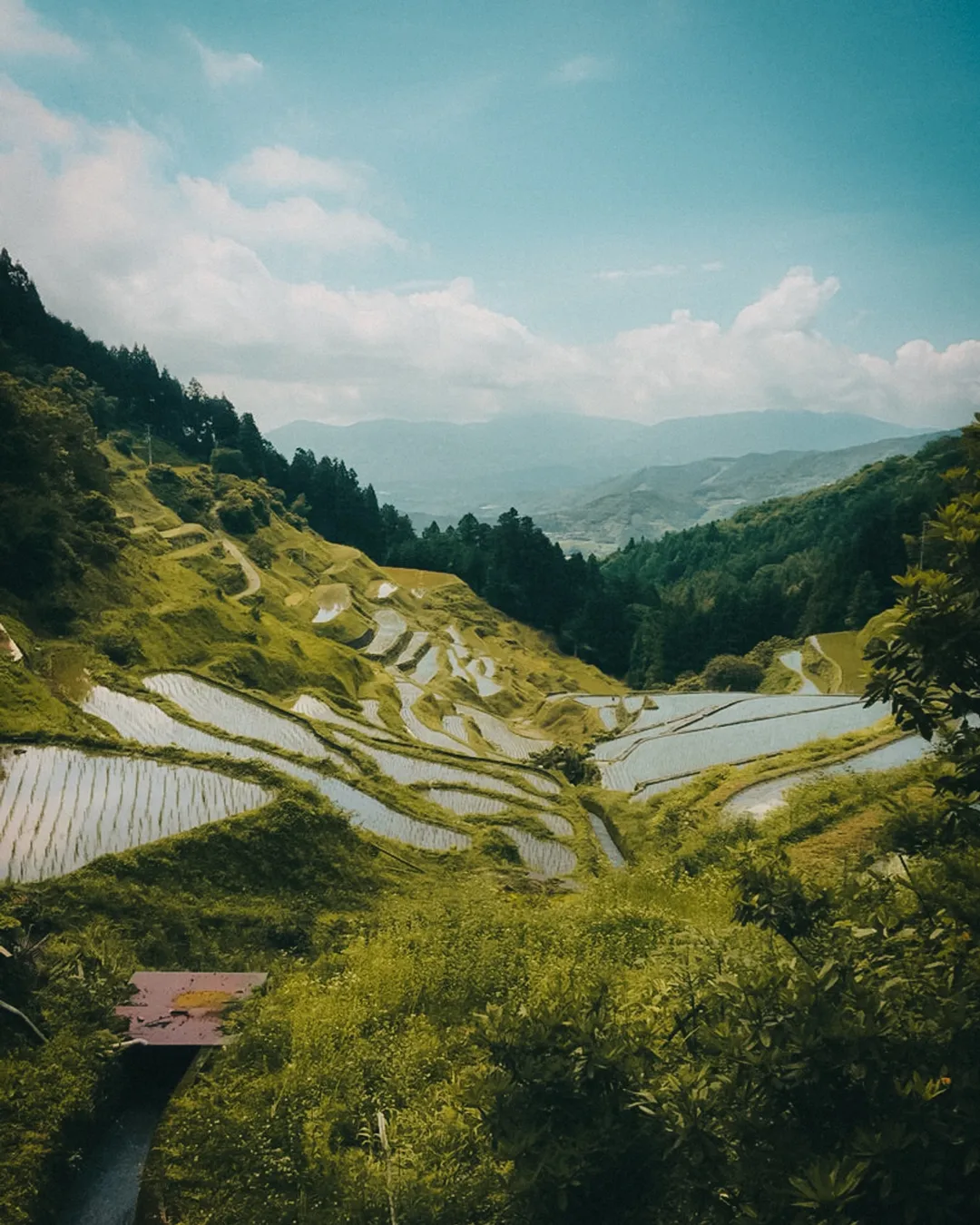 Rice terraces in Izumidani village community.