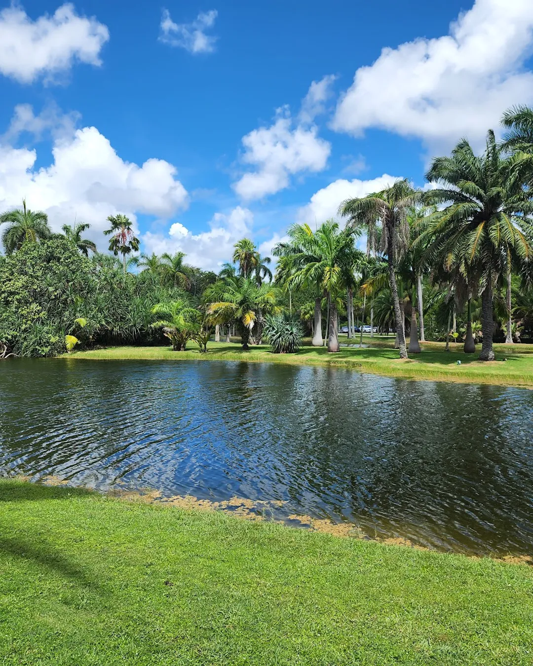 Fairchild Tropical Botanic Garden