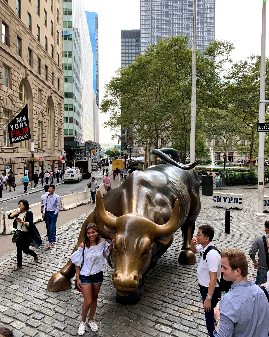 Charging Bull