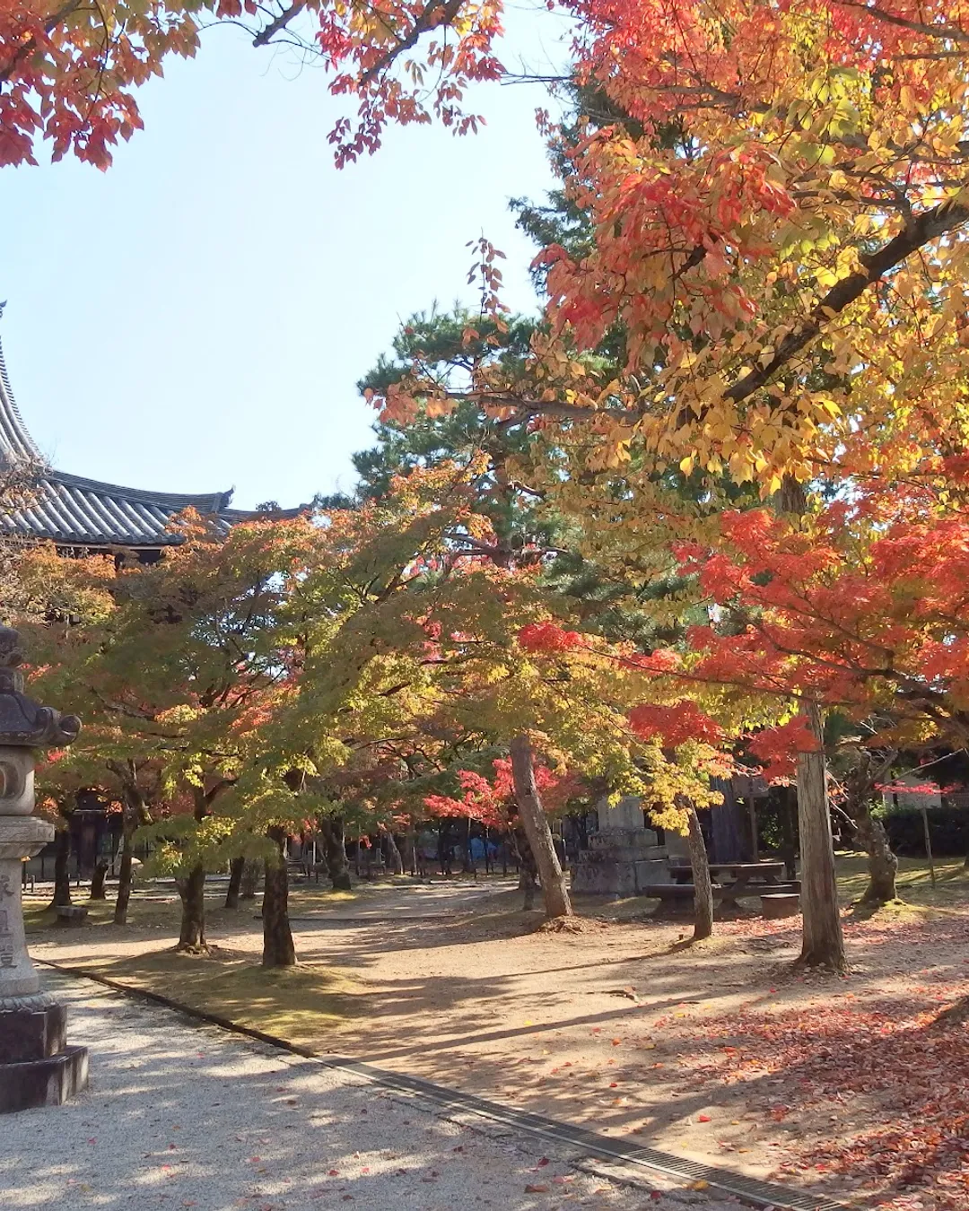 日本中世の在地社会 - 株式会社 吉川弘文館 歴史学を中心とする