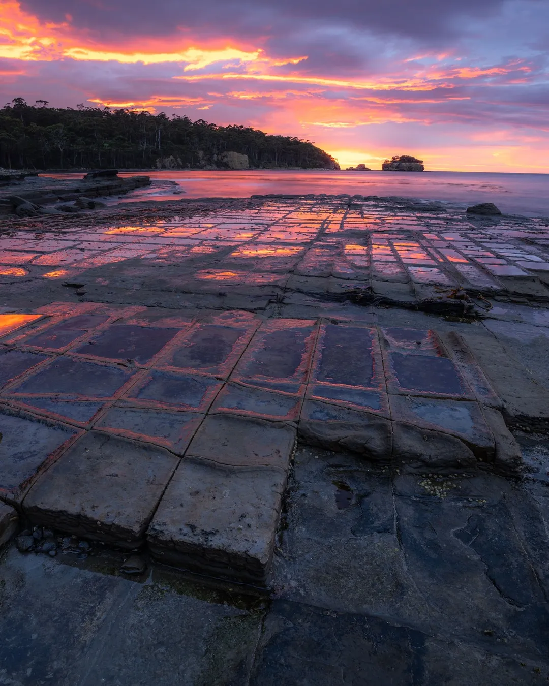 Tessellated Pavement