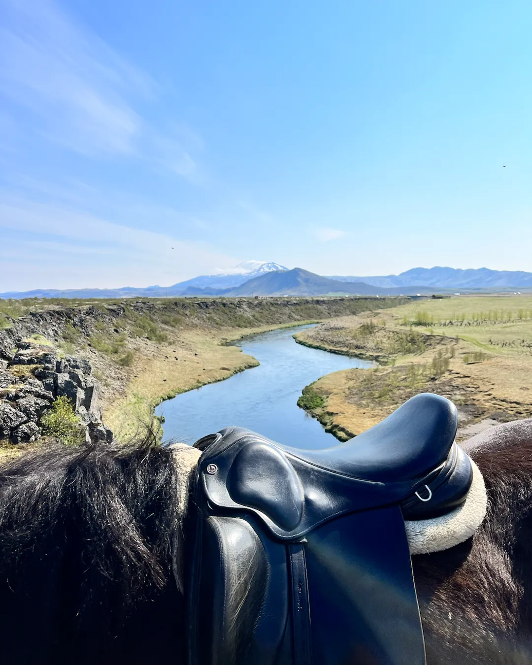Icelandic Horseworld
