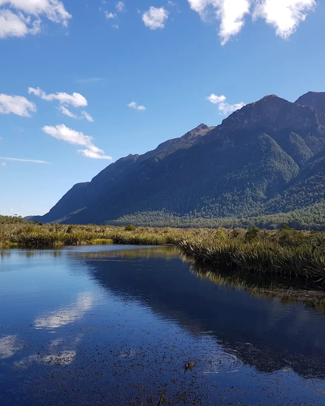 Mirror Lakes