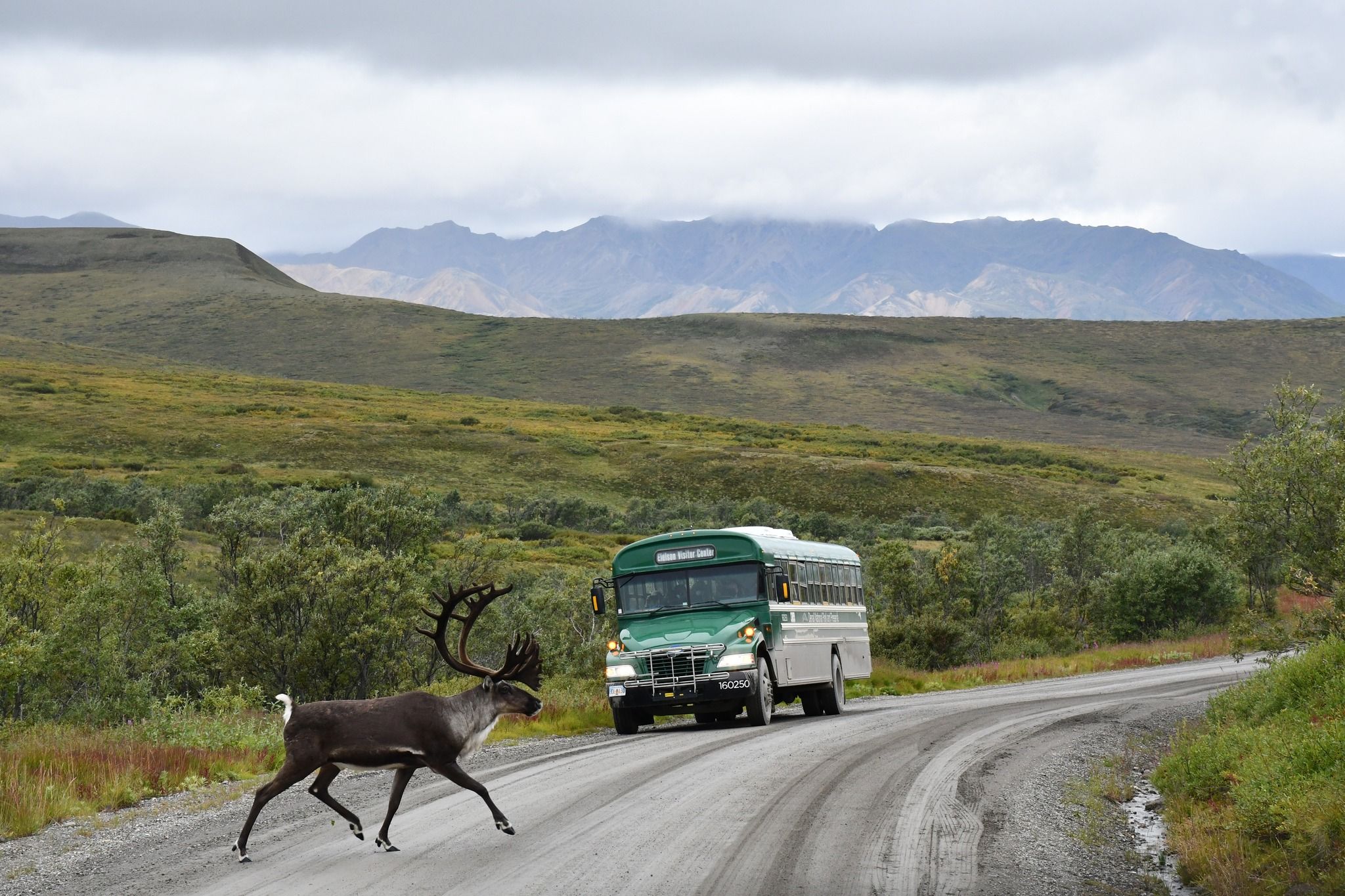 BEST Guide to Alaska United States - 70b28a60f0f64253bc9bc6df57beaefb