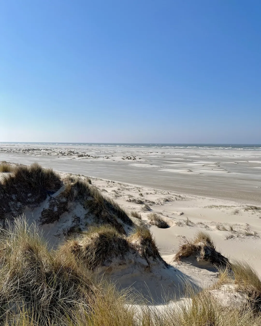 Waddenzee