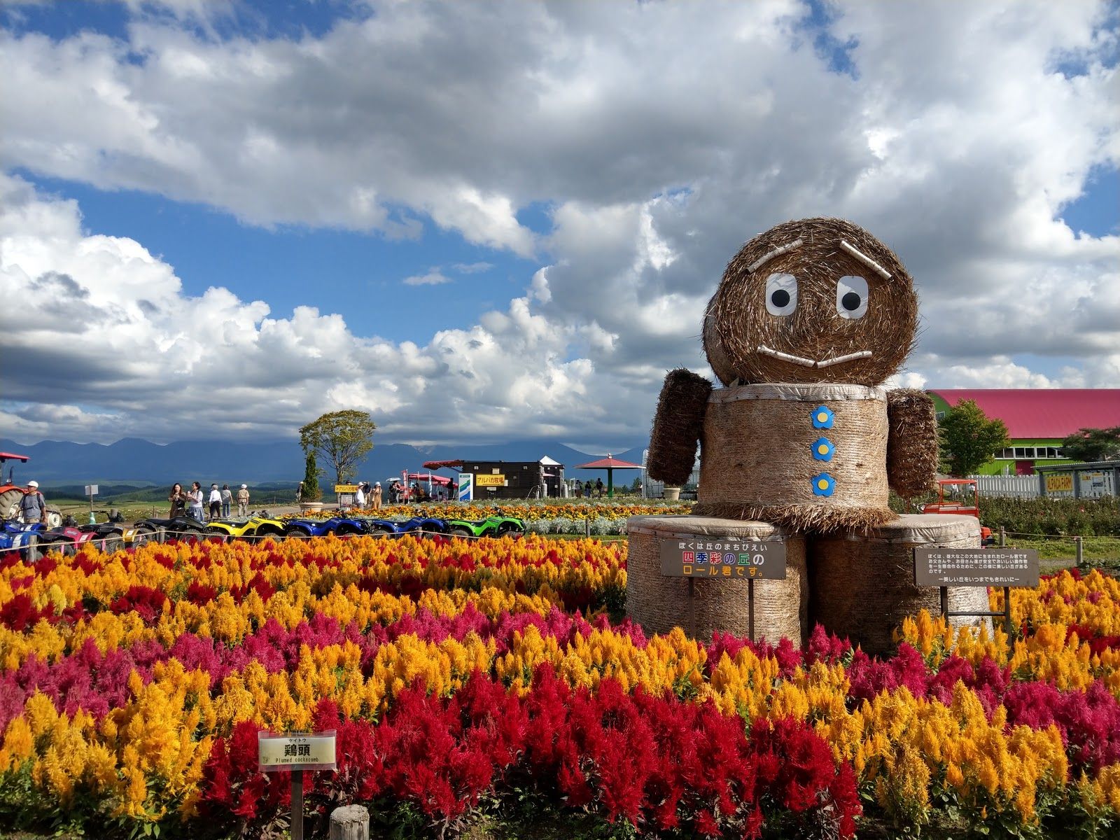 Panoramic Flower Gardens Shikisai-no-oka - Rural Travels, Japan