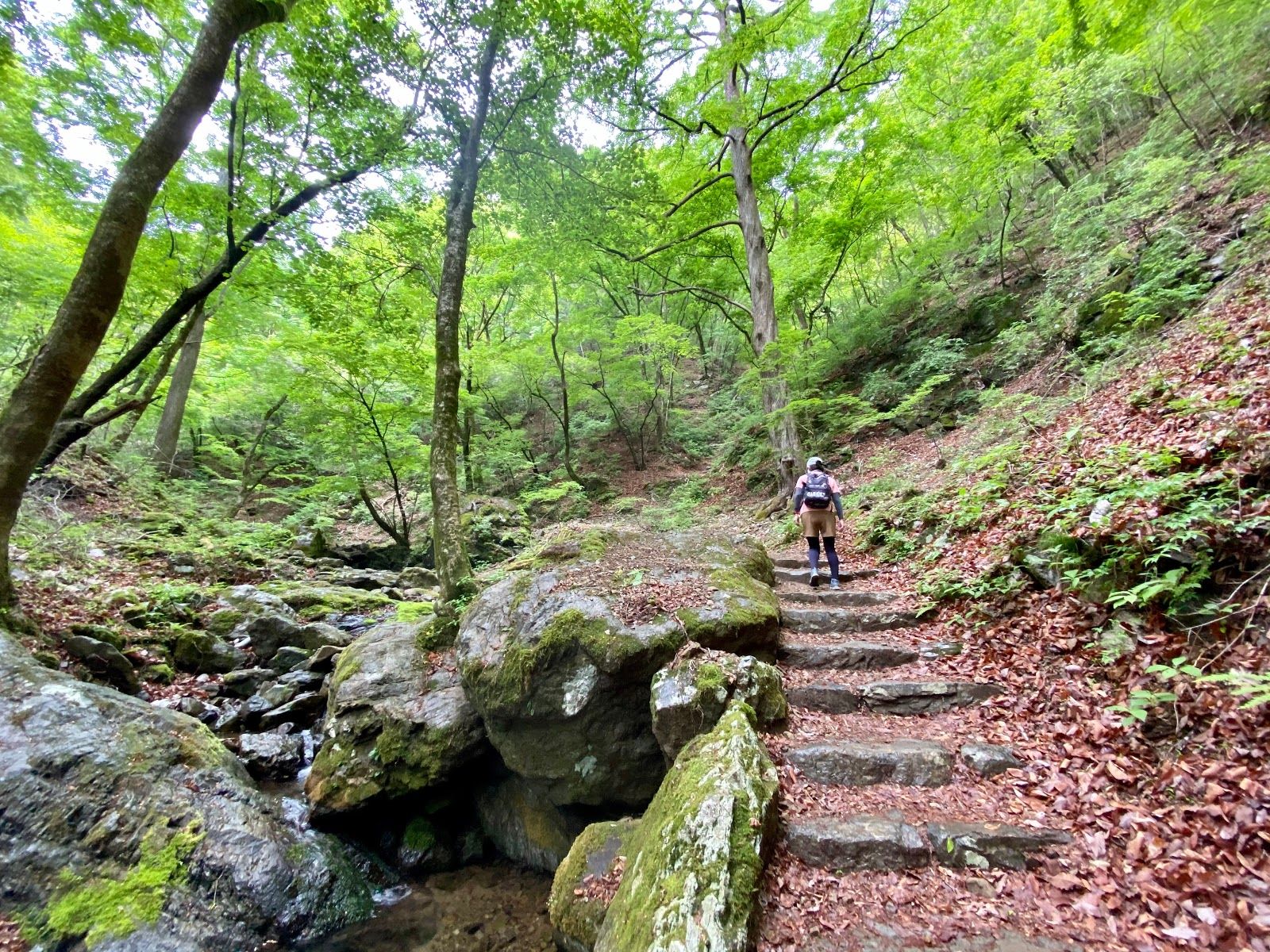 Mitake Rock Garden - Rural Travels, Japan - Rexby