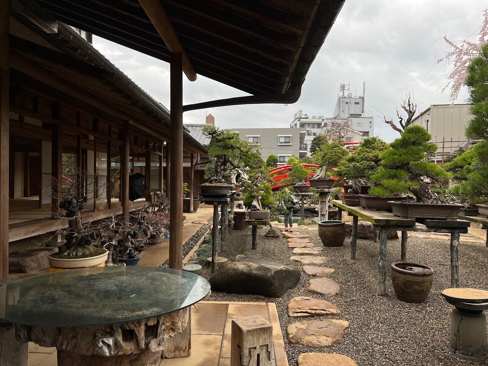 Shunkaen Bonsai Museum - Japan, Japan - Rexby