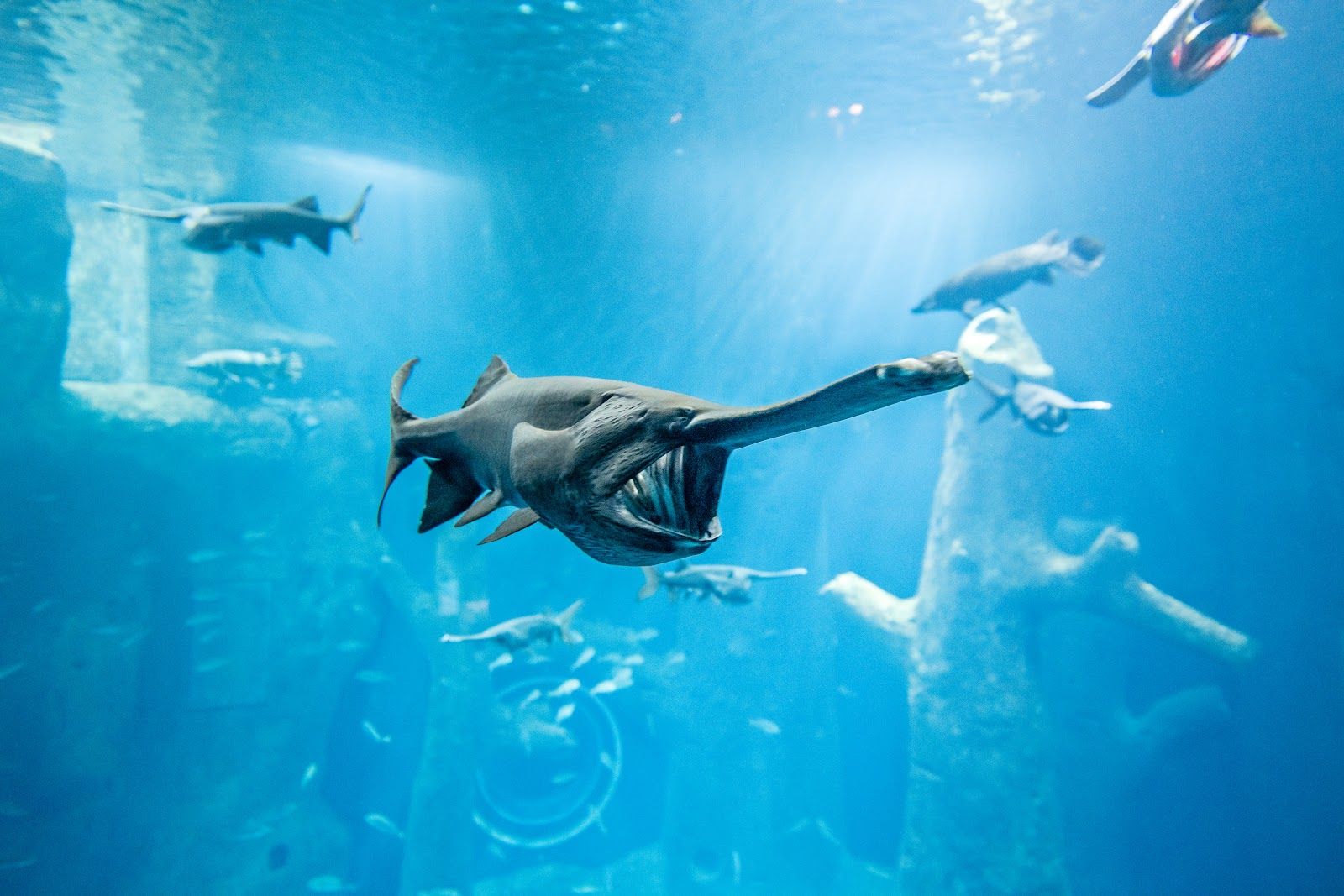 AQUATIS Aquarium-Vivarium