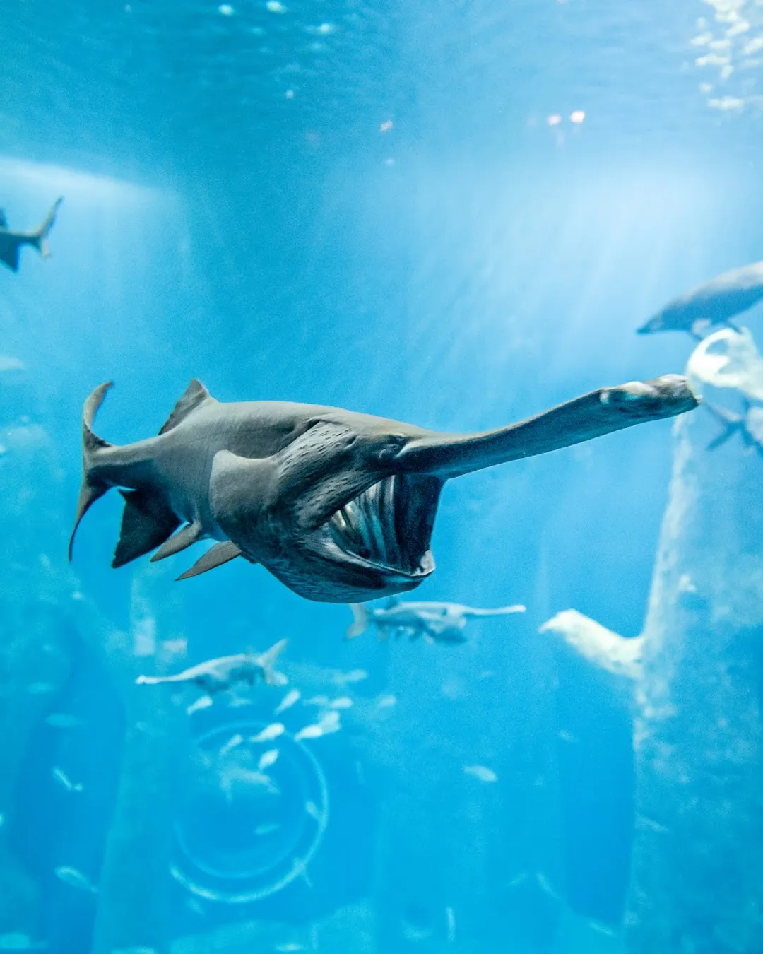 AQUATIS Aquarium-Vivarium