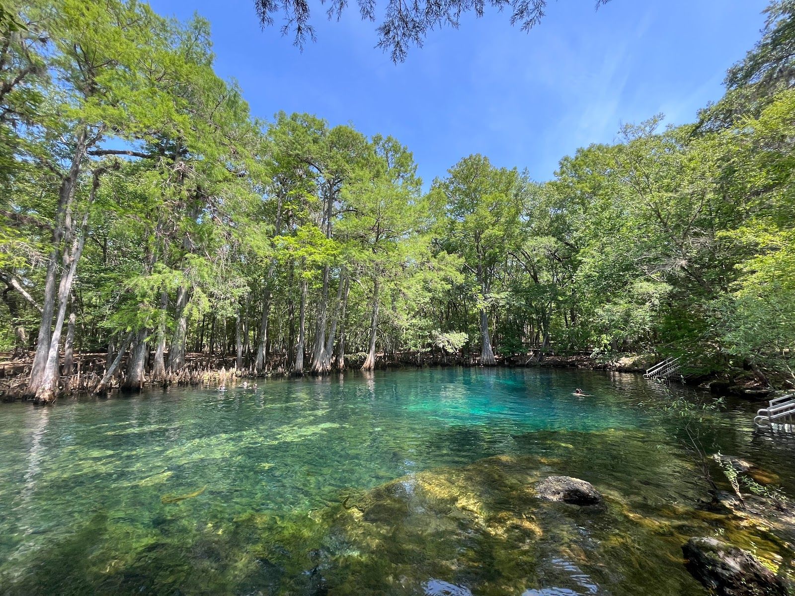 Manatee Springs State Park