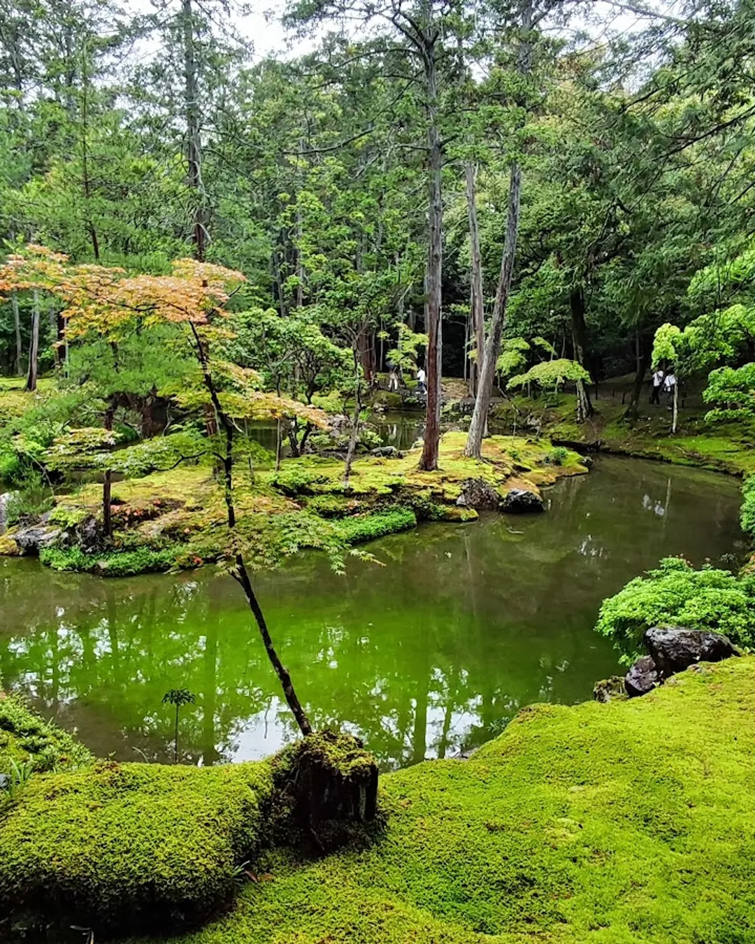 Saihō-ji (Koke-dera) Temple