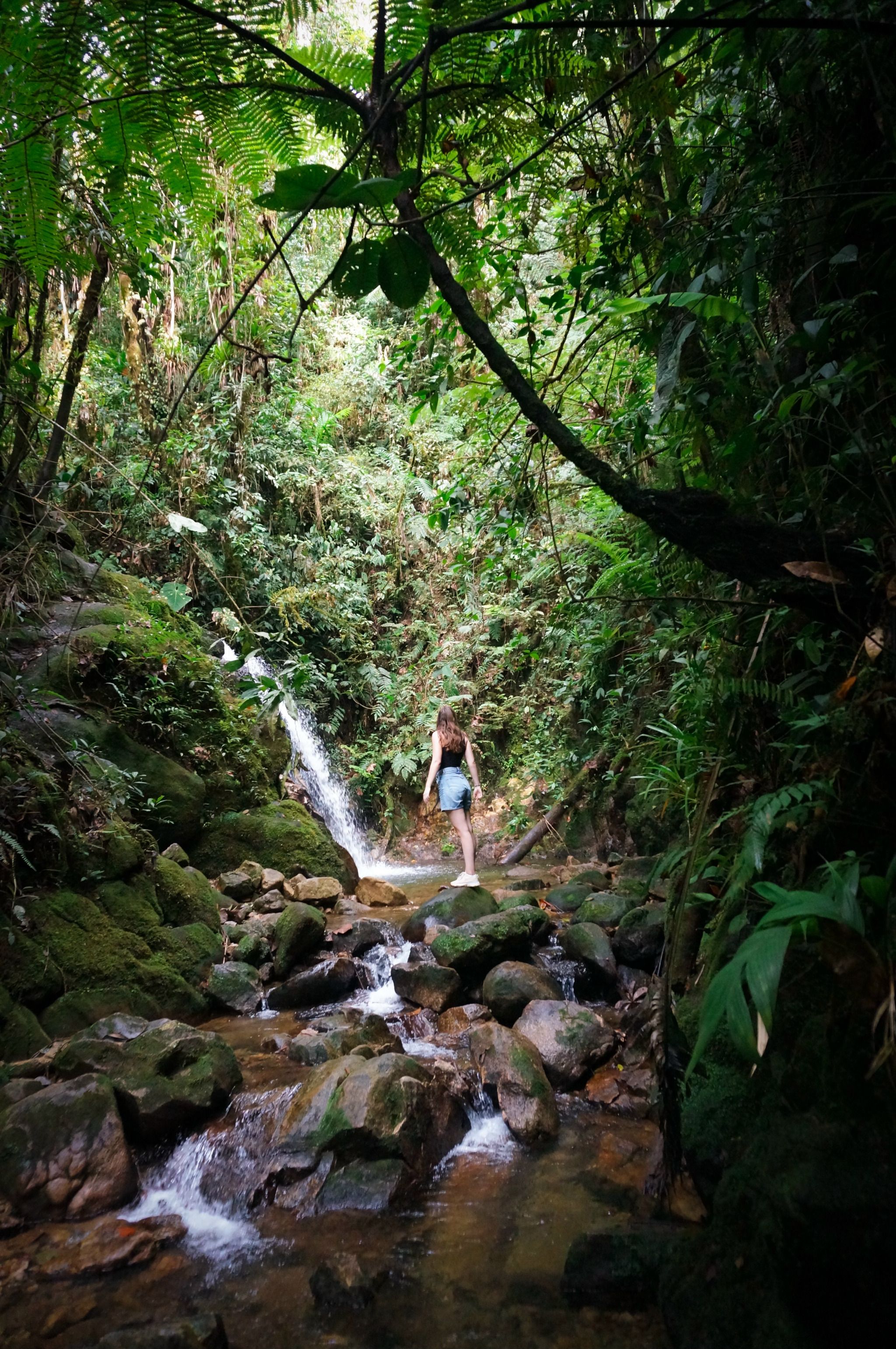 Cascada Lunita 1