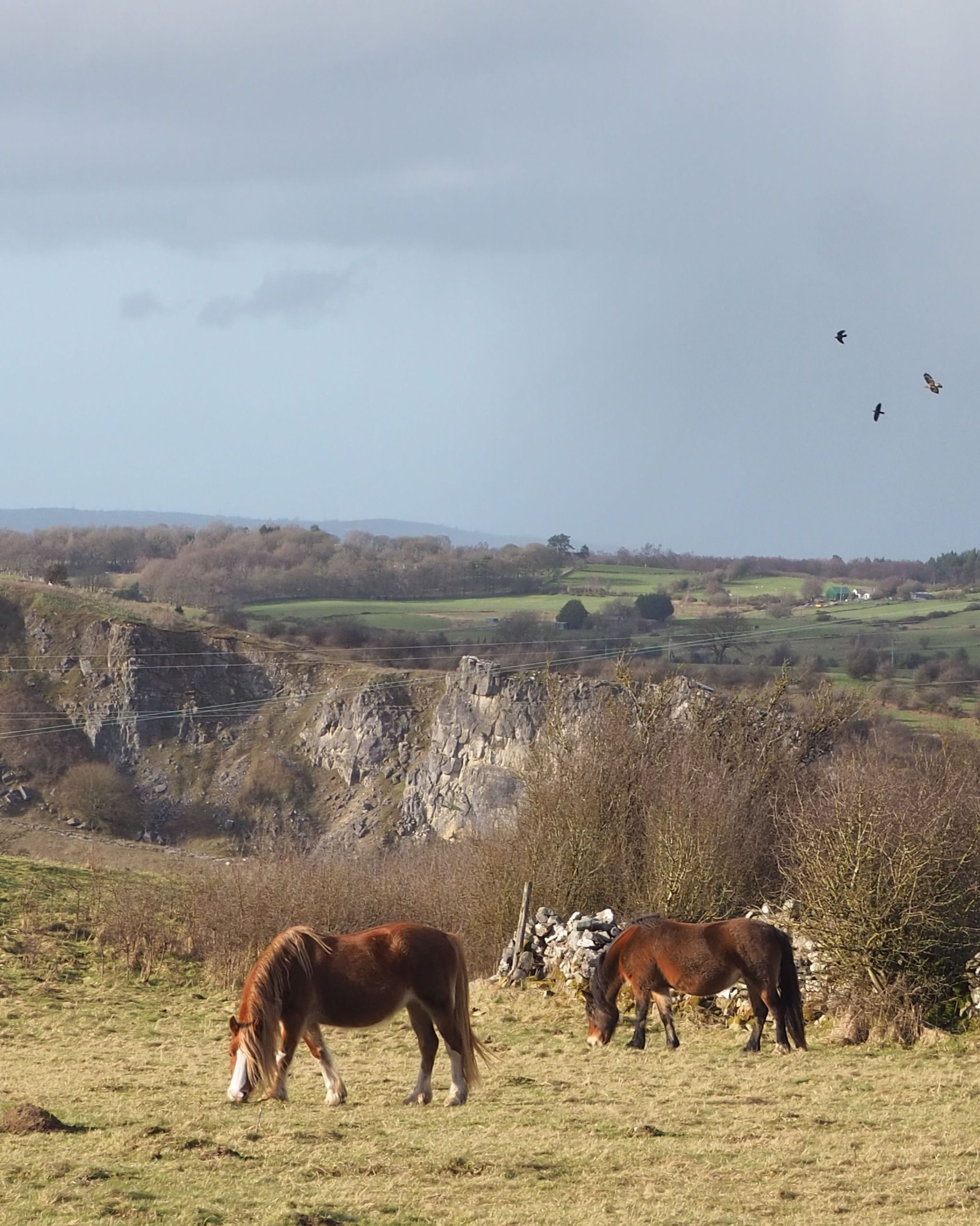 Esclusham Mountain Viewpoint