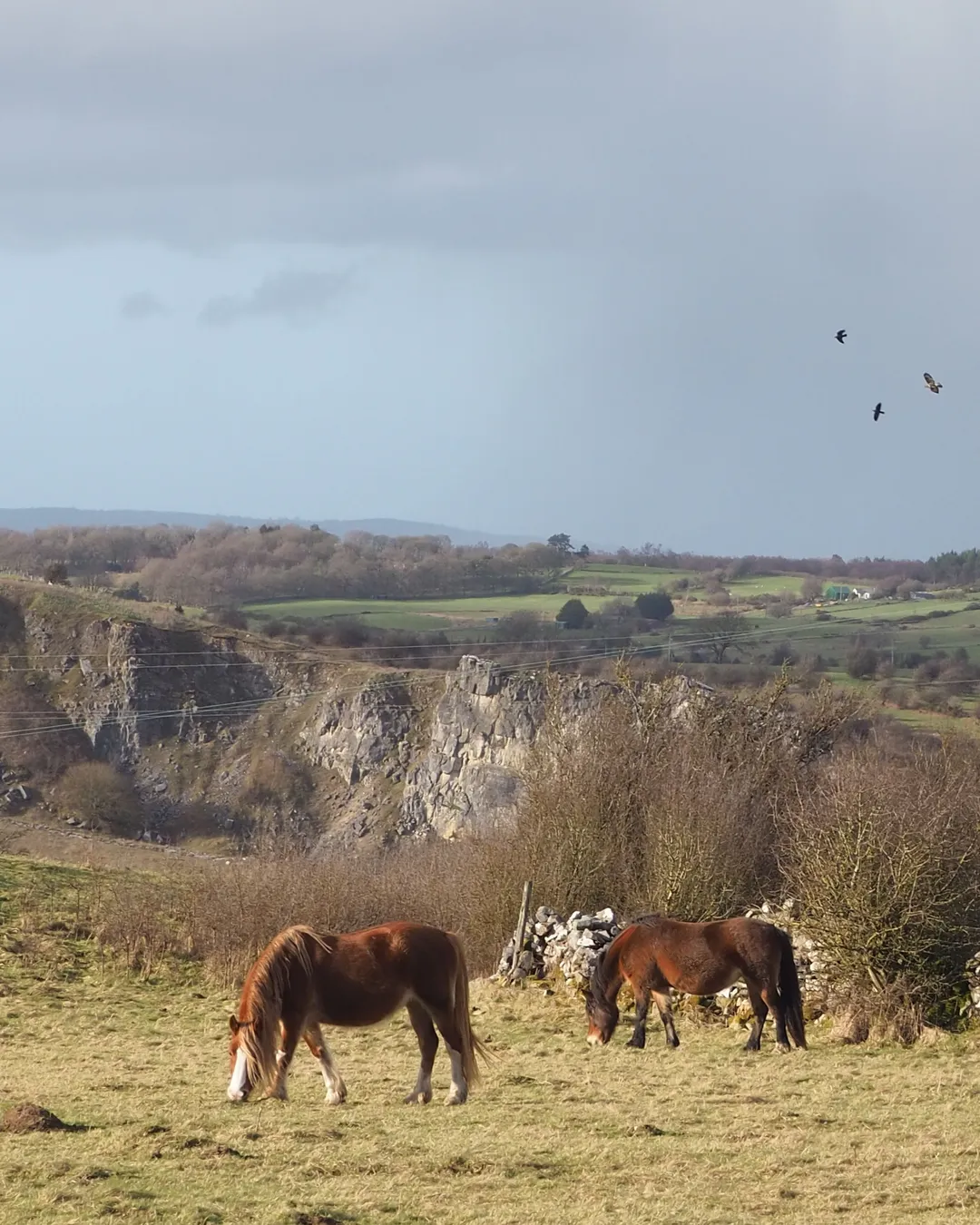 Esclusham Mountain Viewpoint