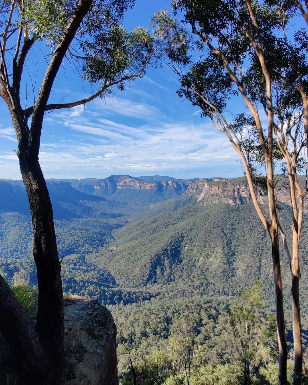 Evans Lookout