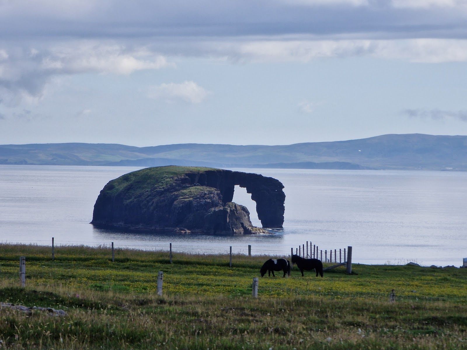 Dore Holm