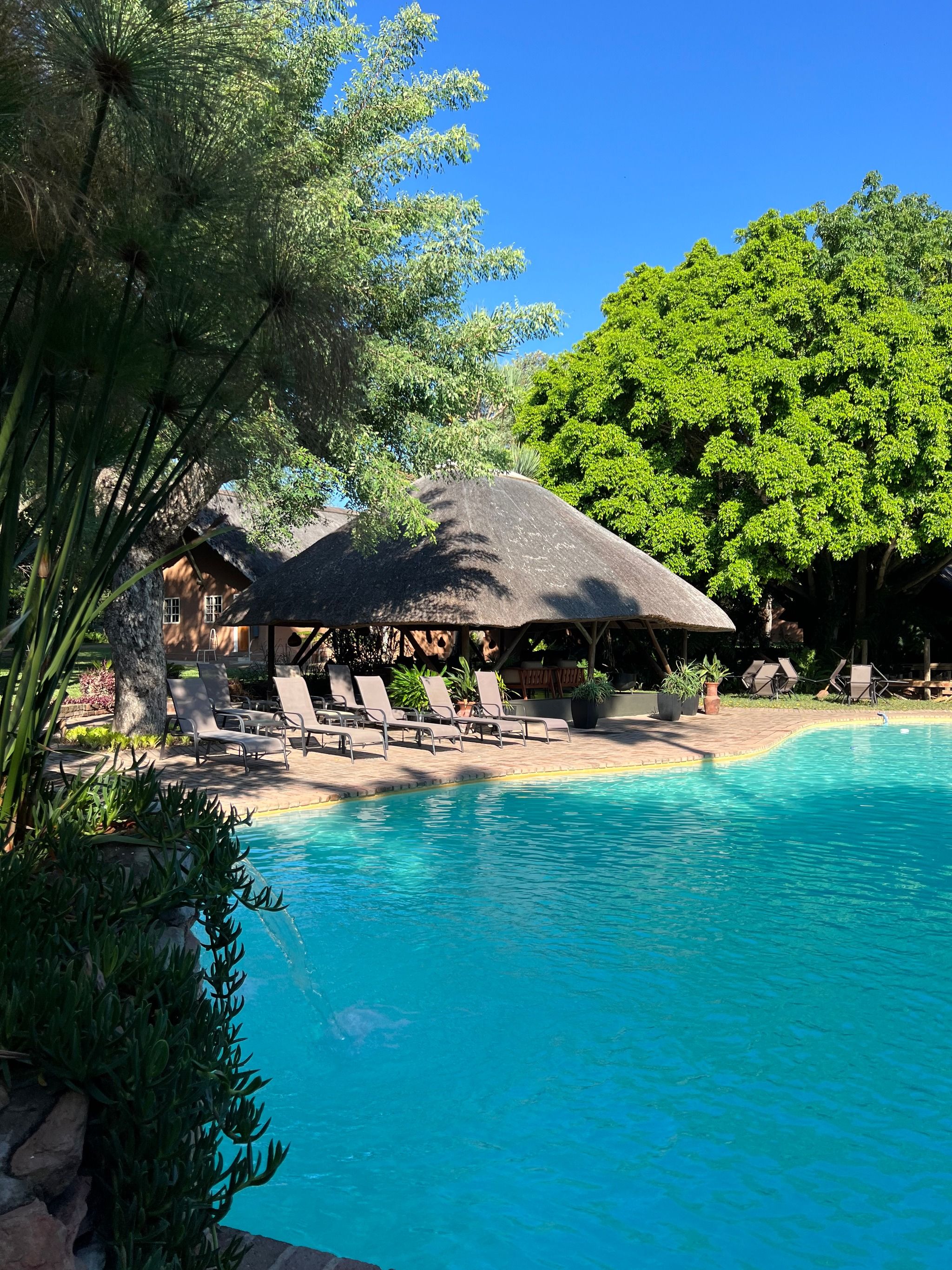 Sunbirds Oasis Lodge