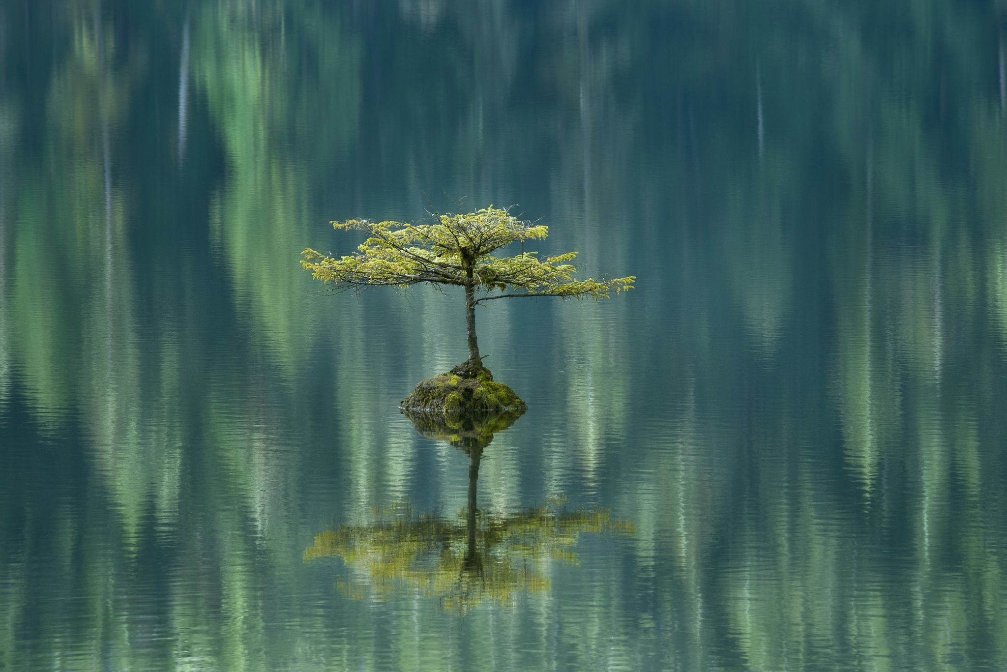 Fairy Lake - Great Photography Locations Vancouver Island, Canada - Rexby