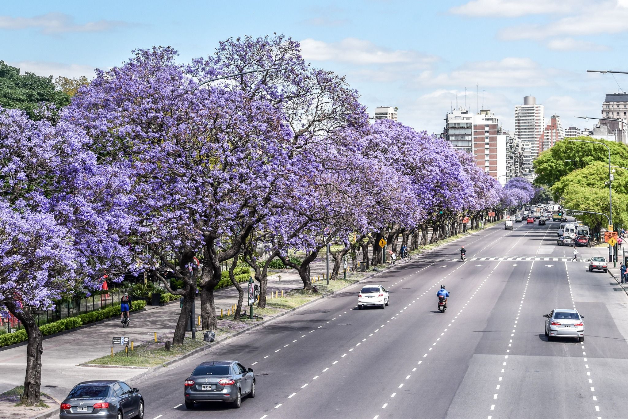 Puente peatonal Dr. Alfredo Roque Vítolo