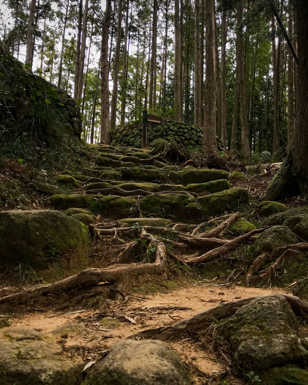 Kumano Kodo Matsumoto Toge