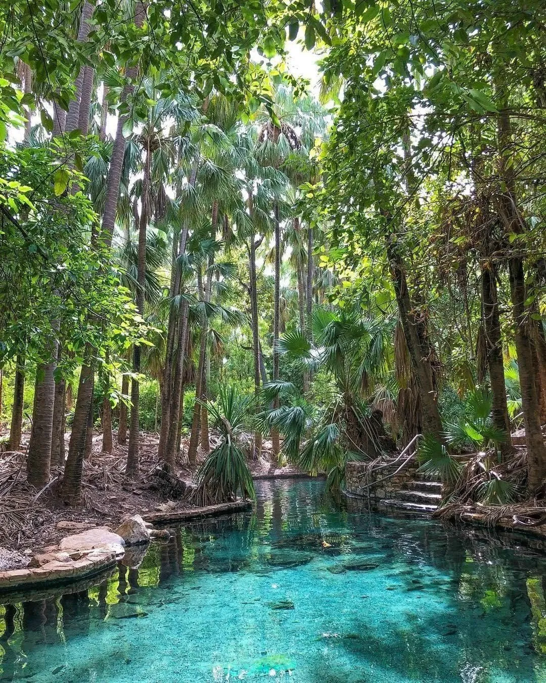 Mataranka Hot springs