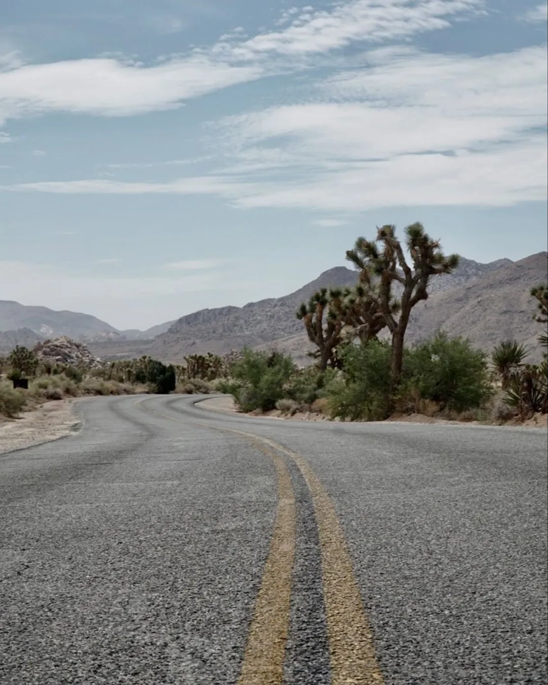 Joshua Tree National Park