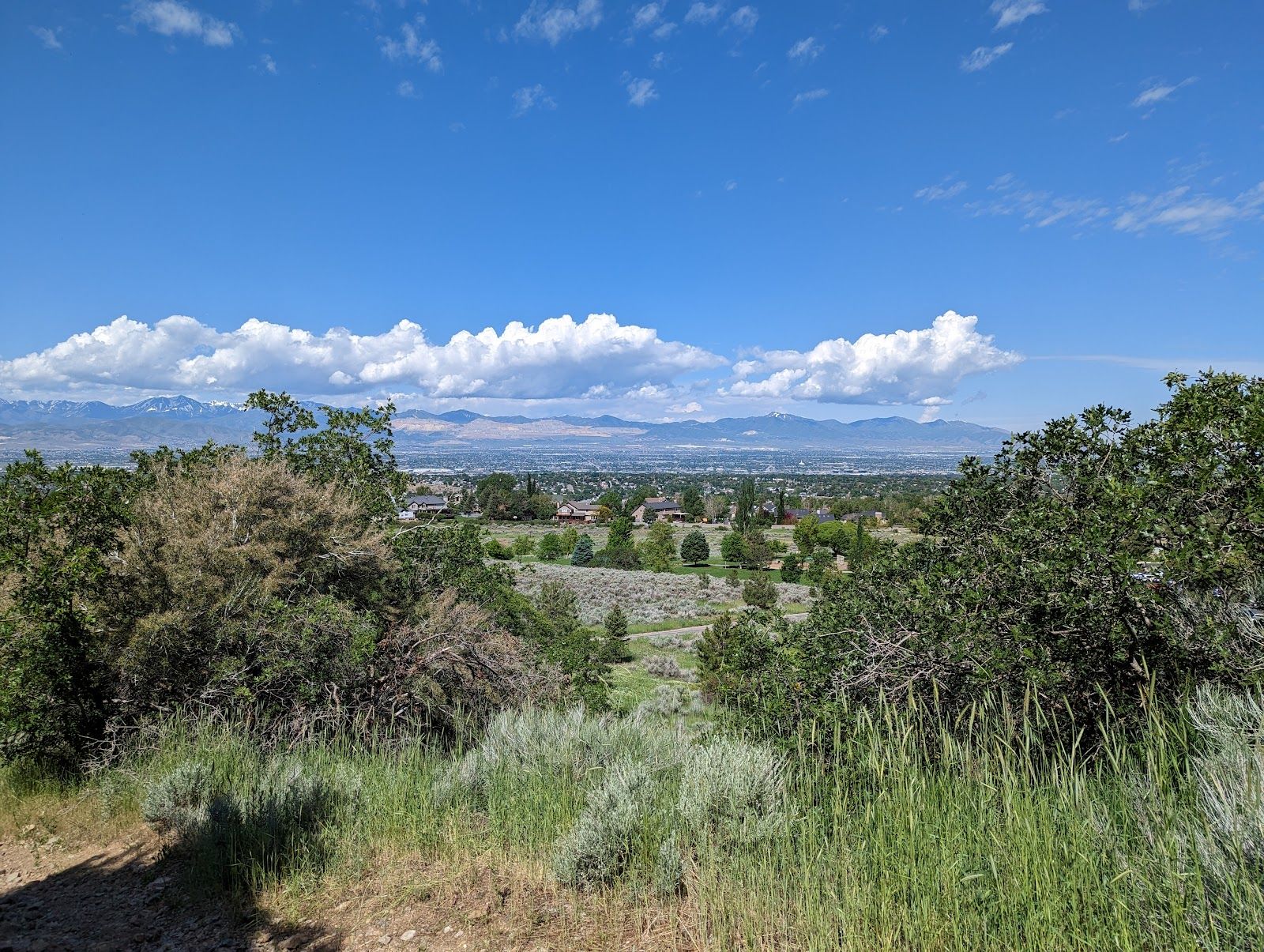 Bonneville Shoreline Trail: Corner Canyon Connector