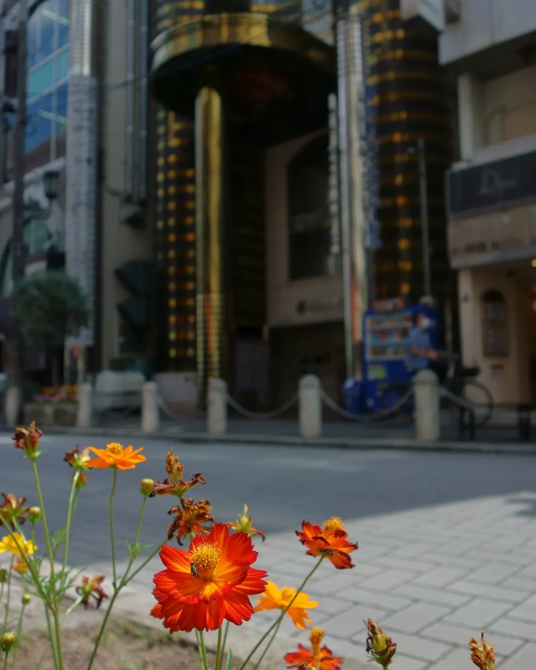 Higashishinsaibashi - Japan - Rexby