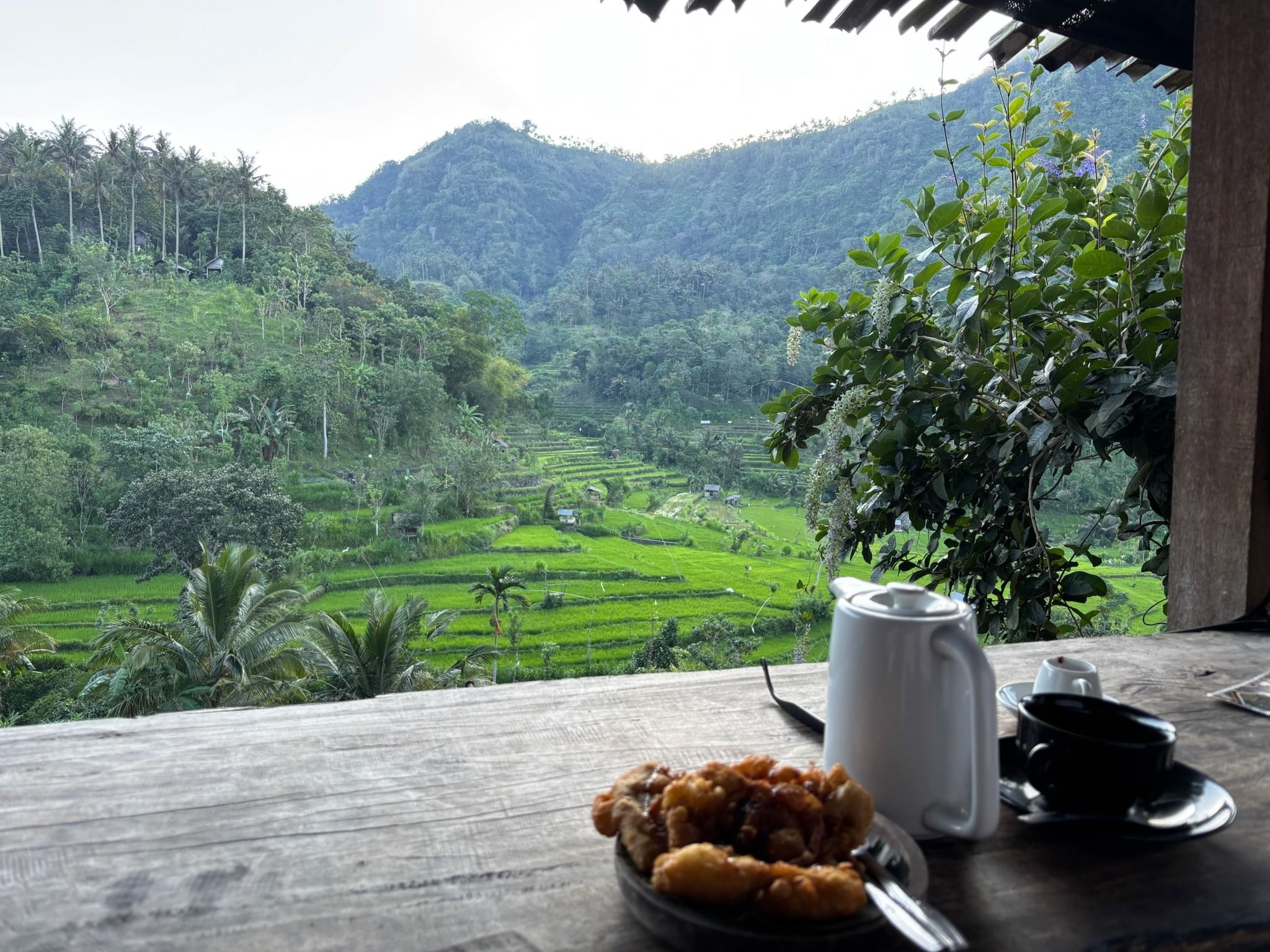 BERINA RICE TERRACE