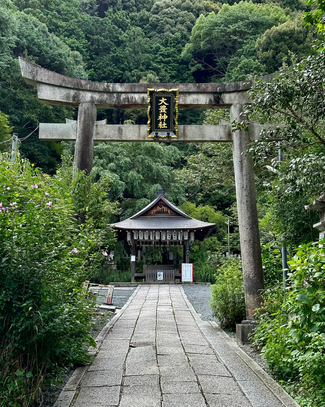 Ōtoyo Shrine - Japan - Rexby
