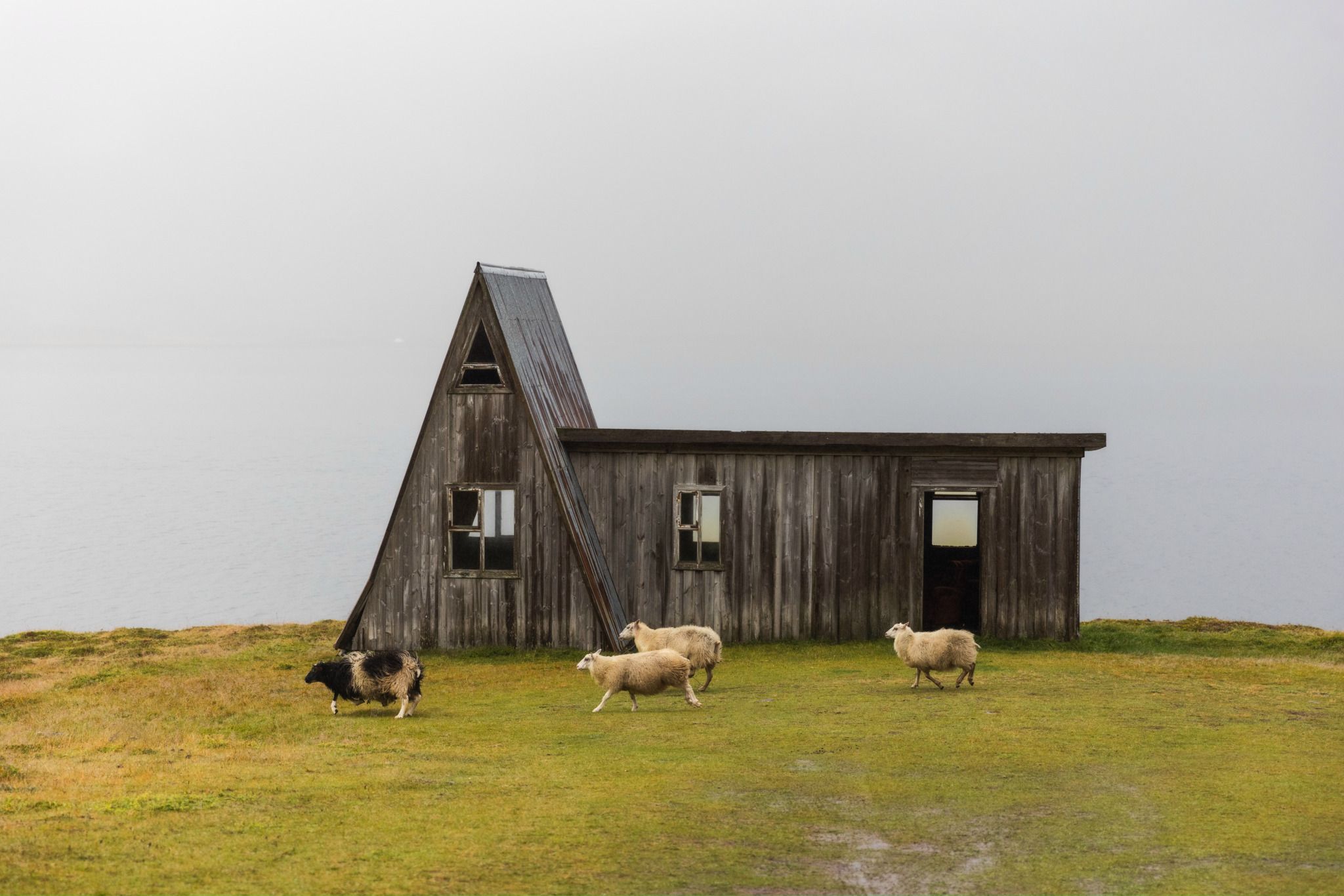 Abandoned Barn Fossfjörður