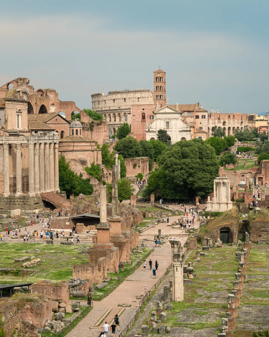 Terrazza sul Foro