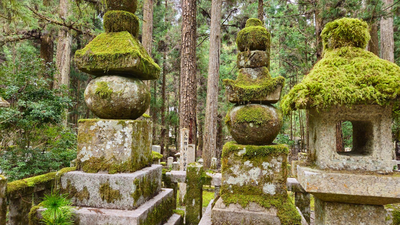 Okunoin Cemetery - Japan - Rexby