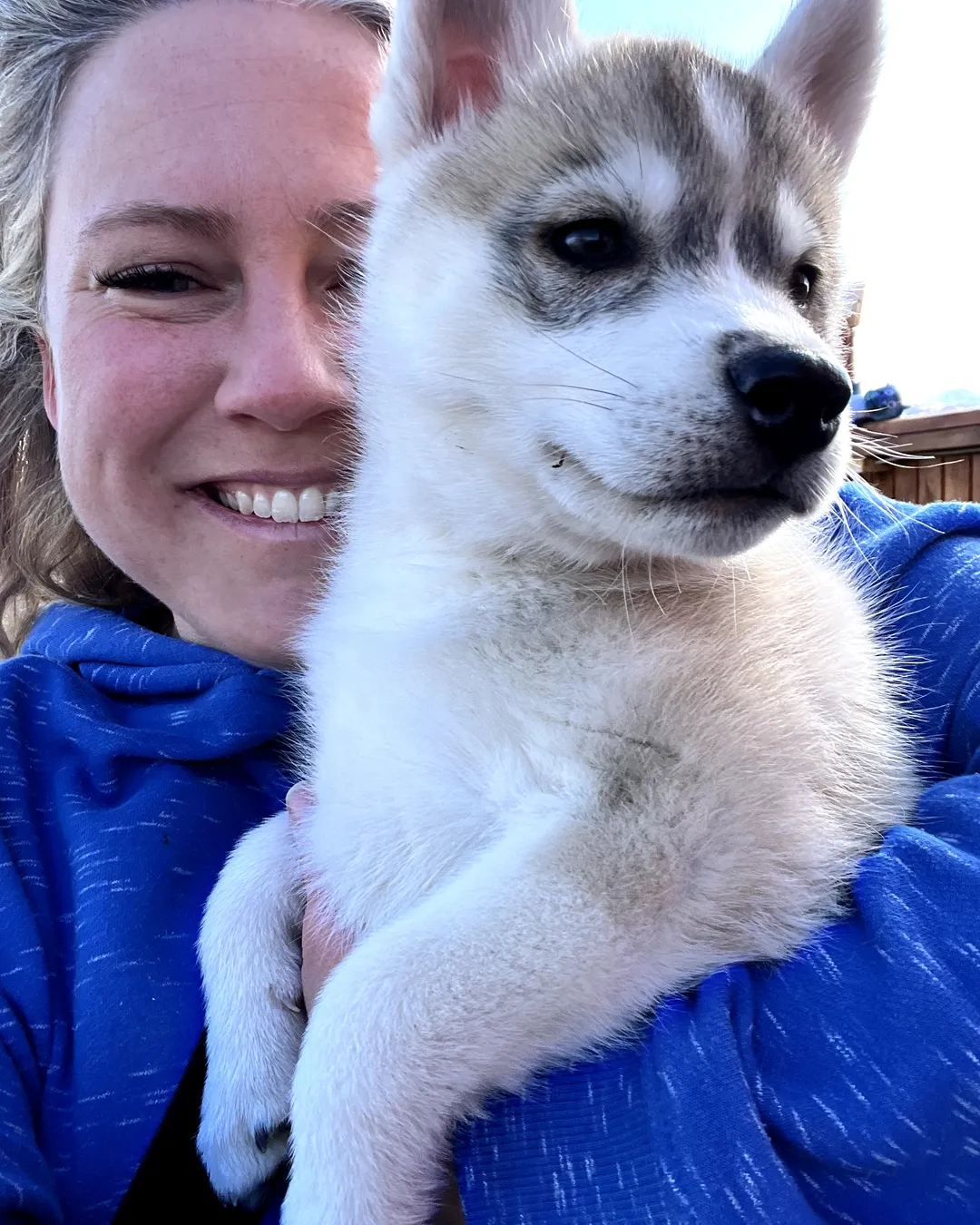 goHusky Dogsledding Tours