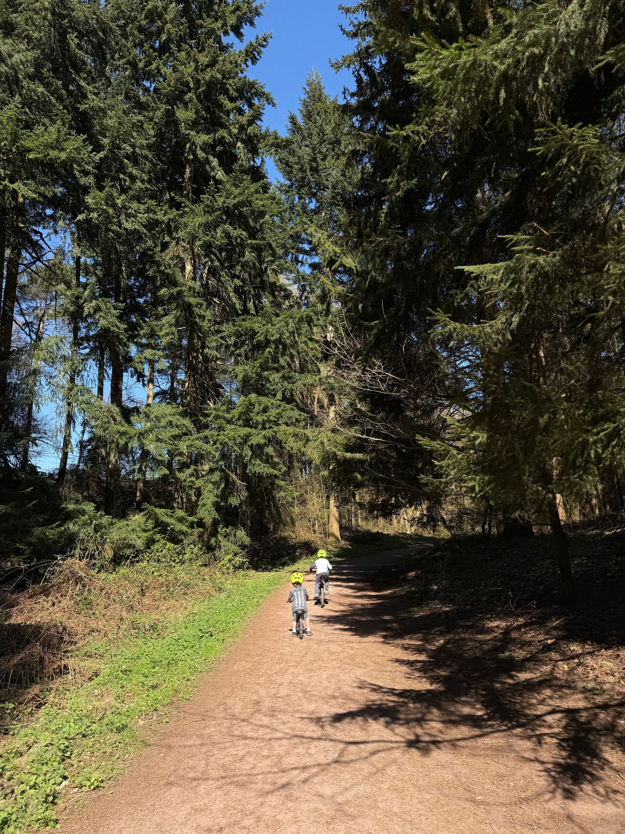 Comer Woods - National Trust Car Park
