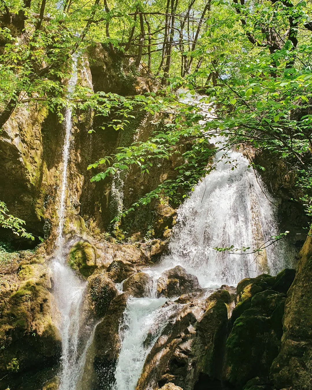 Бачковски водопад