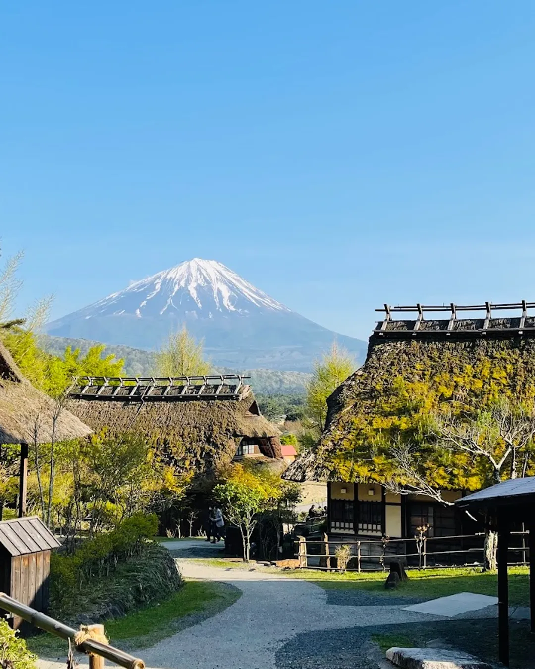 Saiko Iyashi-no-Sato Nenba (Traditional Japanese Village)