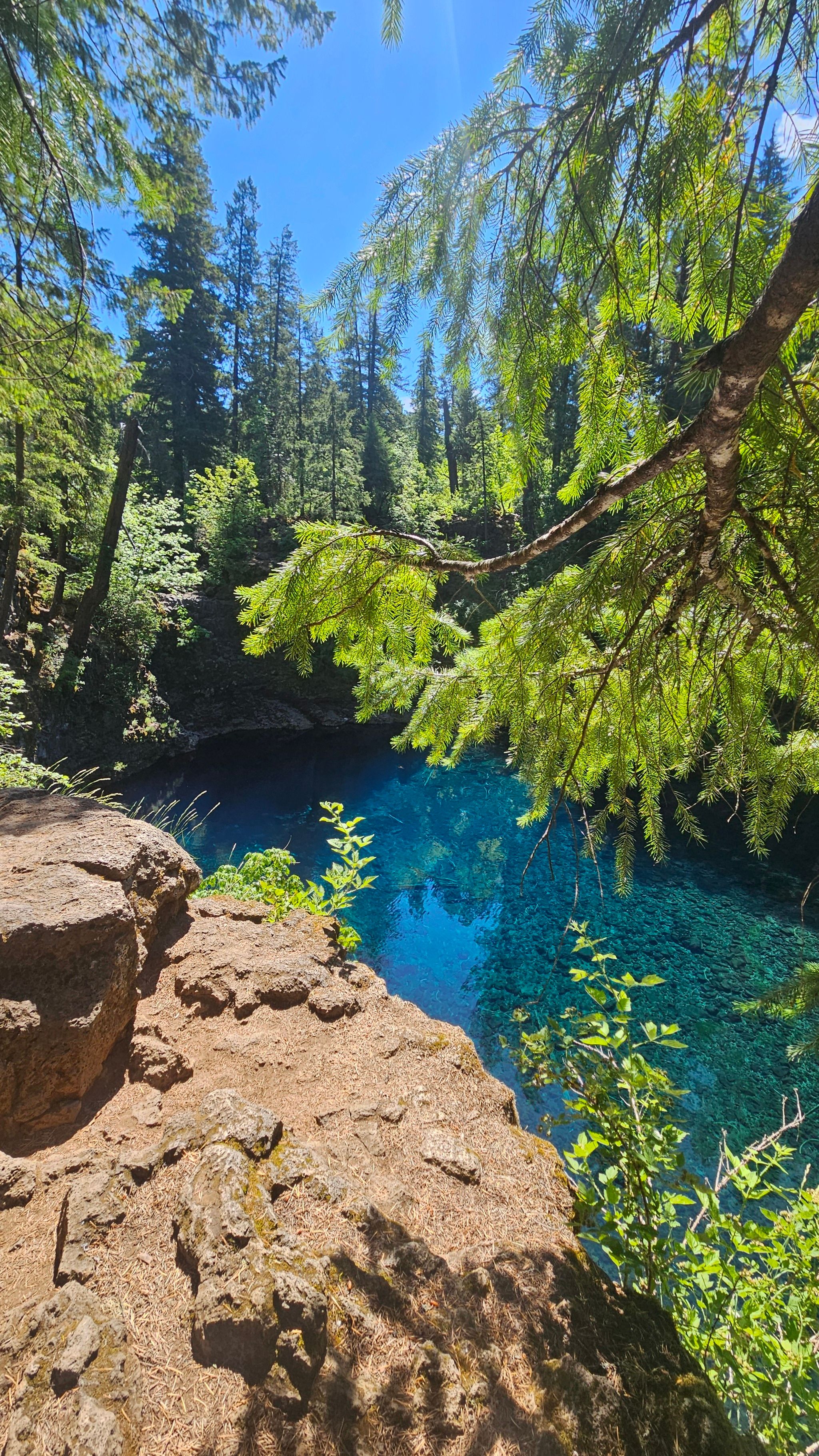 Tamolitch Falls (Blue Pool)