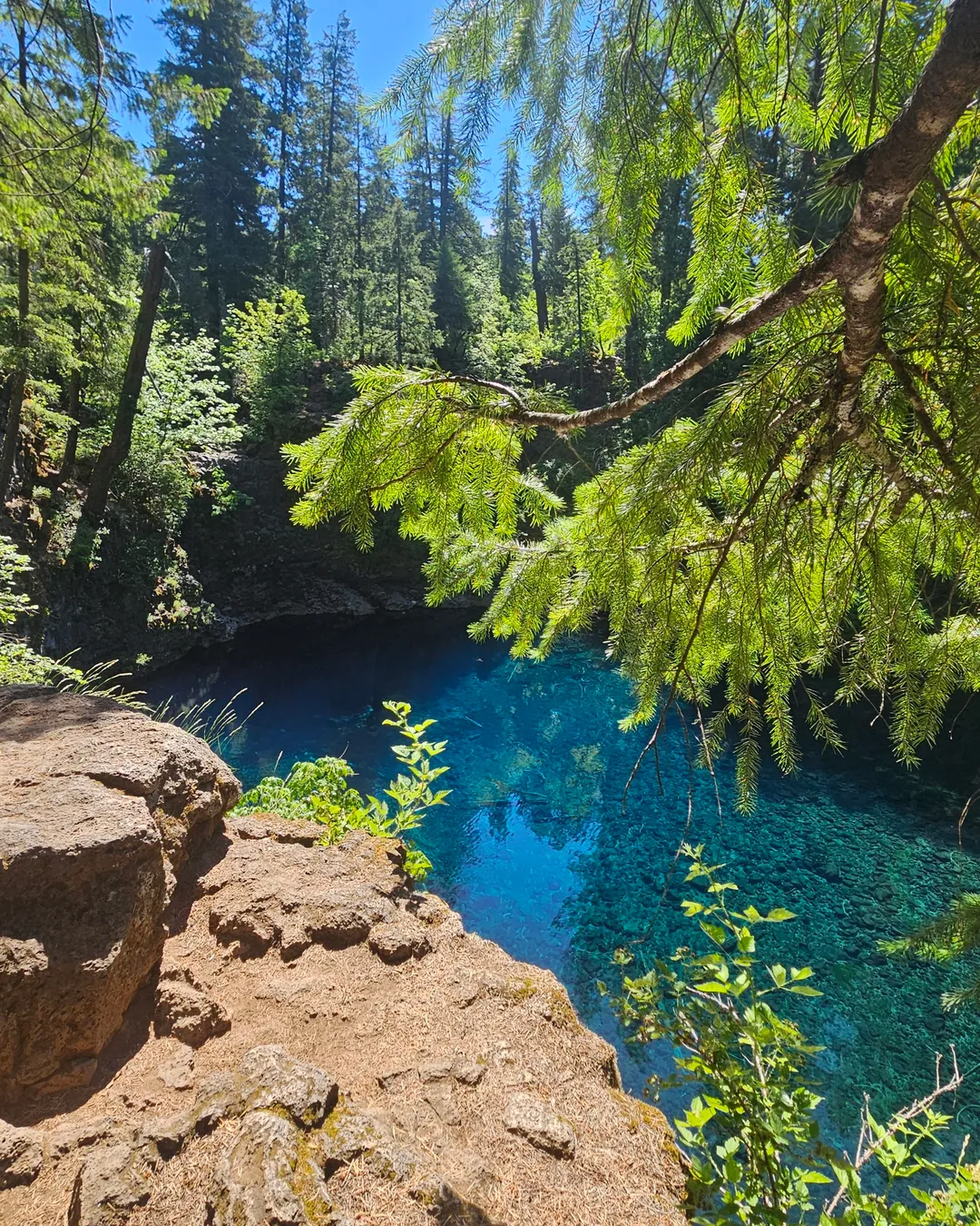 Tamolitch Falls (Blue Pool)
