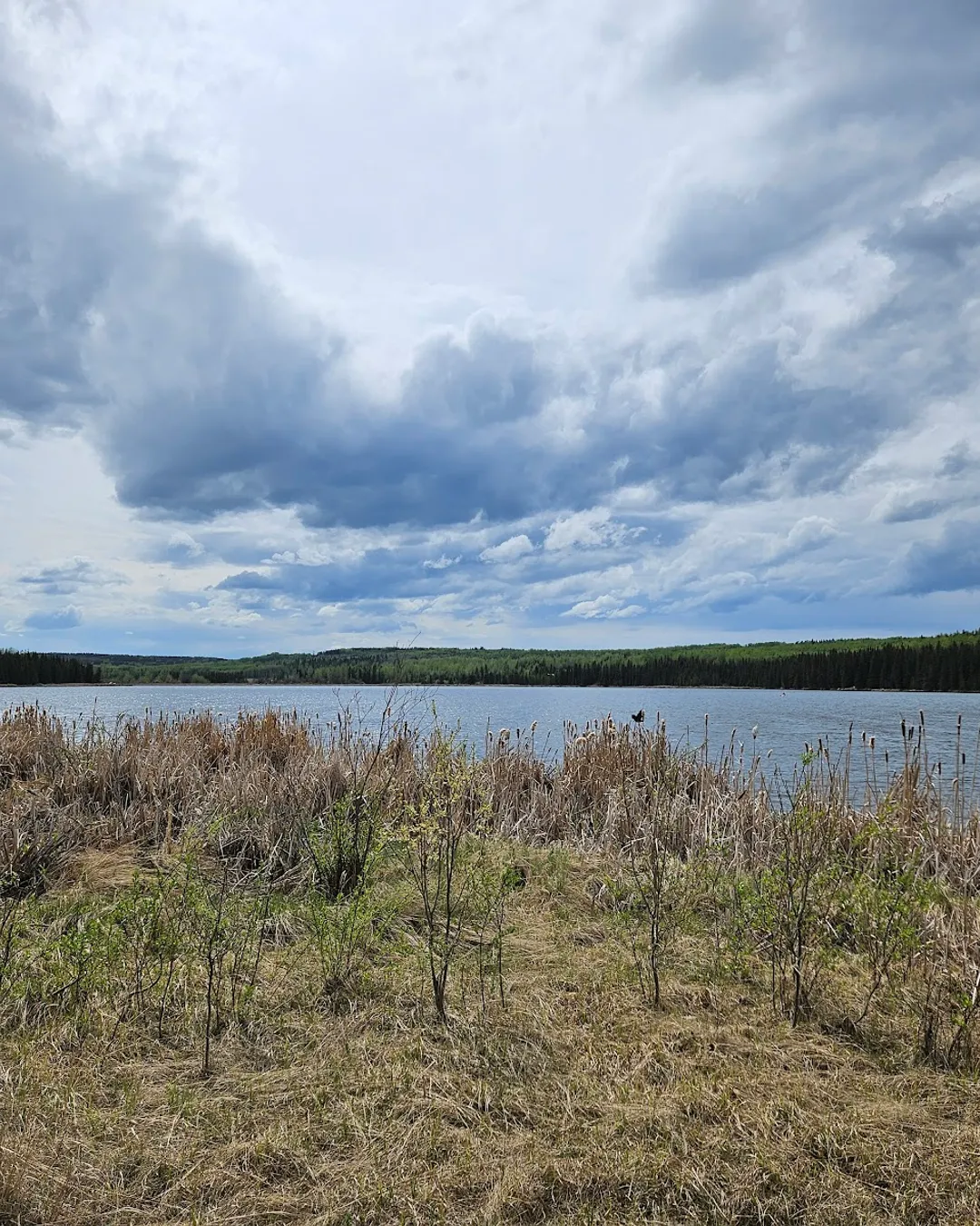 Inga Lake Campground