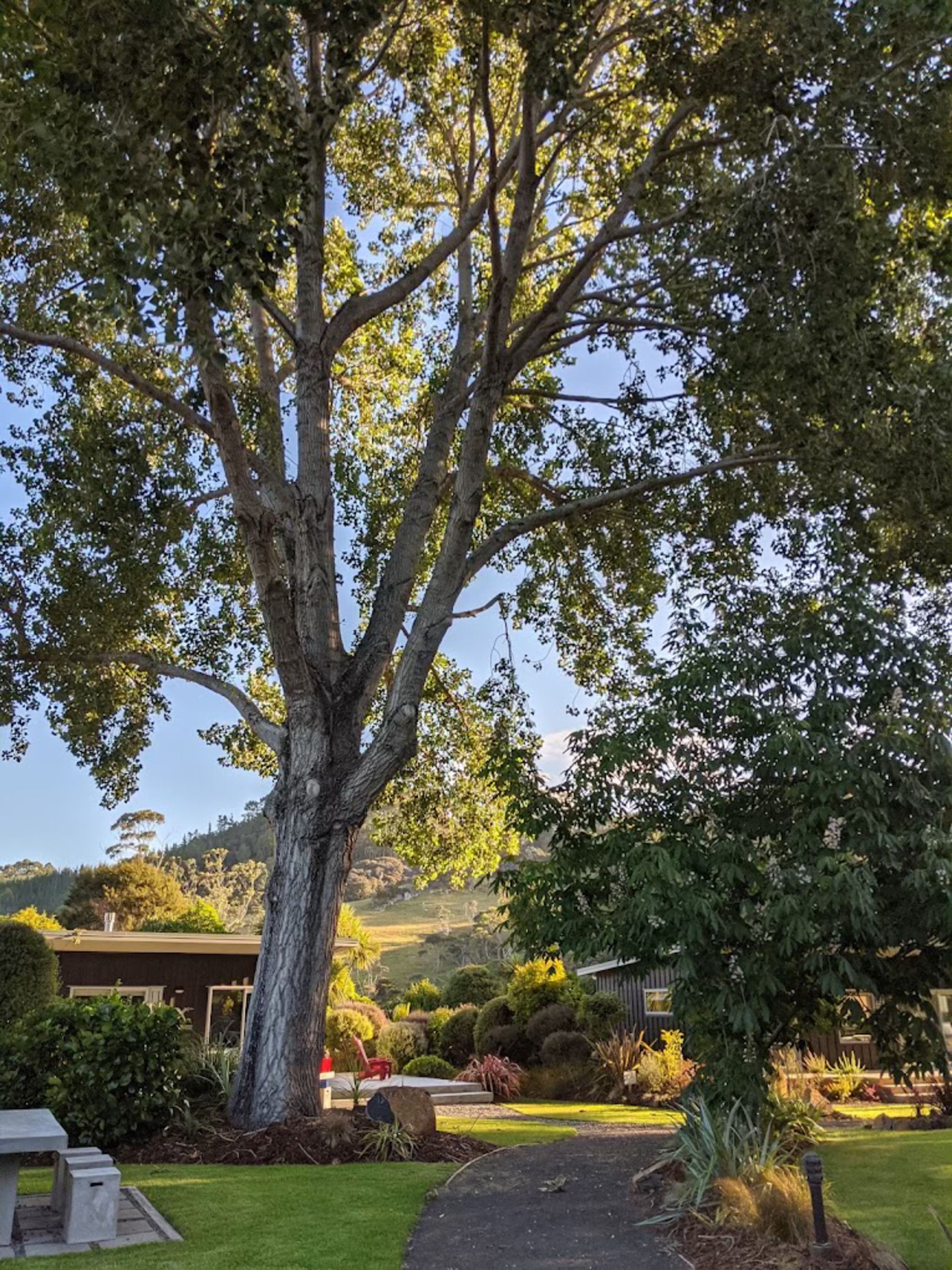 Flaxmill Accommodation and Venue