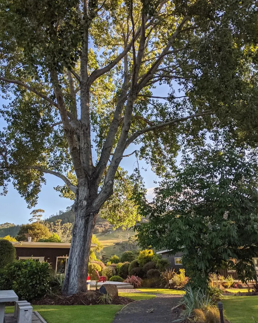 Flaxmill Accommodation and Venue